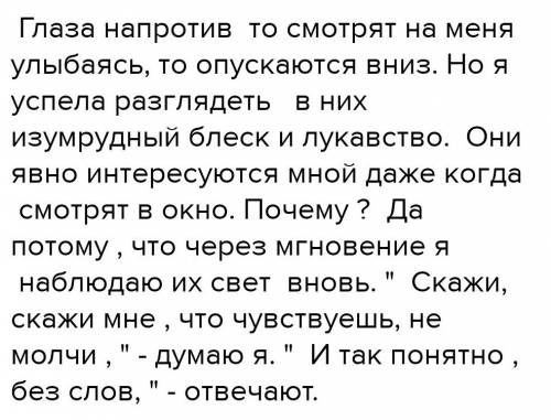 Написать сочинение зарисовку на тему глаза напротив