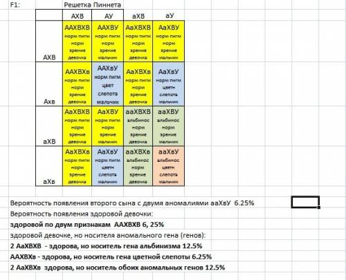 Уродині де чоловік і жінка з нормальною пігментацією і з нормальним зором народився син з обома аном