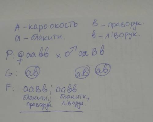 Ген кароокості домінує над блакитноокістью, а праворукість домінує над ліворукістю. які діти будуть