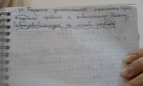 Расставить недостающие знаки препинания, графически обозначьте причастный оборот. 1. куст сирени рас