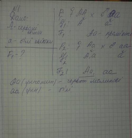 Червоноквіткову форму нічної красуні схрестили з білоквітковою. яким буде потомство від схрещування