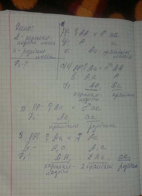 Унаслідок схрещування томата, який має картопле подібне листя, із сортом, що має розсічене листя, у