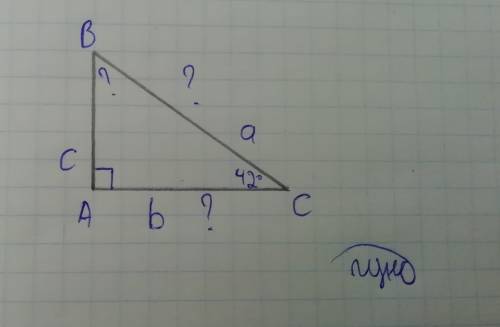 Дан прямоугольный треугольник abc. один из катетов 12 см, а противолежащий угол 42 градуса. найдите