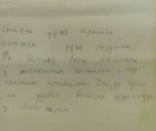 Іть скласти невелику розповідь по плану 1 назва птаха 2 зовнішній вигляд 3 чим живиться 4 де і як бу