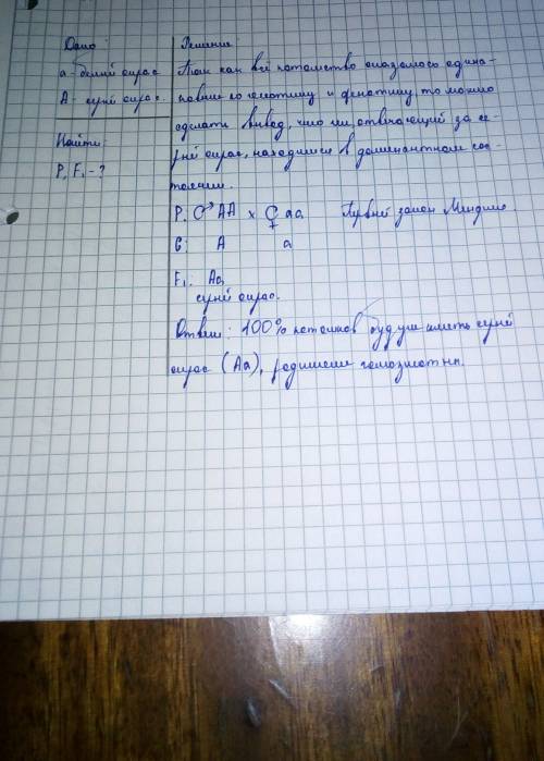 Серого кролика скрестили с белой самкой. гибриды первого поколения оказались все серые. какие геноти