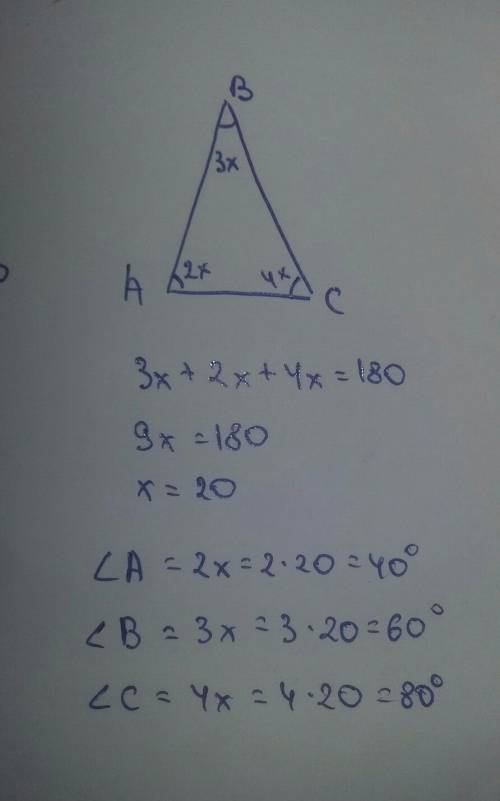 Втреугольнике abc угол a угол b угол c= 2: 3: 4 найдите углы этого треугольника​