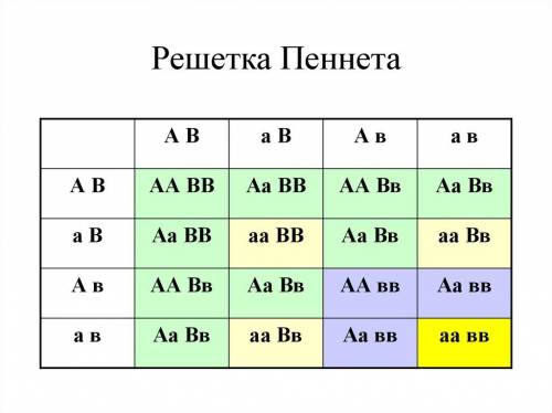 При схрещуванні двох морських свинок із чорною та пухнастою шерстю одержали таке потомство : 10 особ