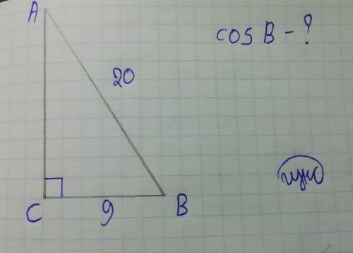 Втреугольнике abc угол c равен 90°, bc=9, ab=20. найдите cosb.