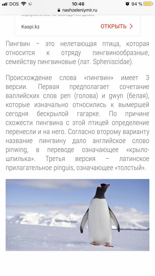 ответить на вопросы про пингвина. где он живёт,чем питается, как он выглядит ,как защищается от враг