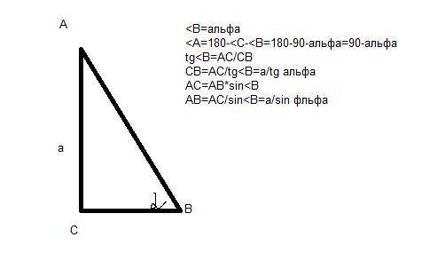 20 ! в прямоугольном треугольнике катет равен a, а в противолежащий ему угол альфа найдите второй ка