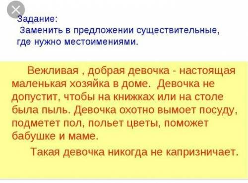 На тему - местоимение-существительное ​