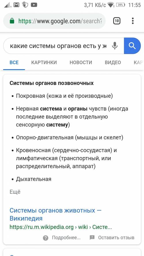 Какие системы огранов есть у животных? ​