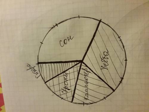 Постройте круговую диаграму мой режим дня 8 часов сна 7 часов учёба 2 часа занятия по гитаре 3 часа