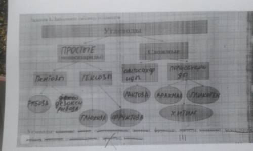 заполните таблицу углеводов снизу слова которые нужно подставить в таблицу ​