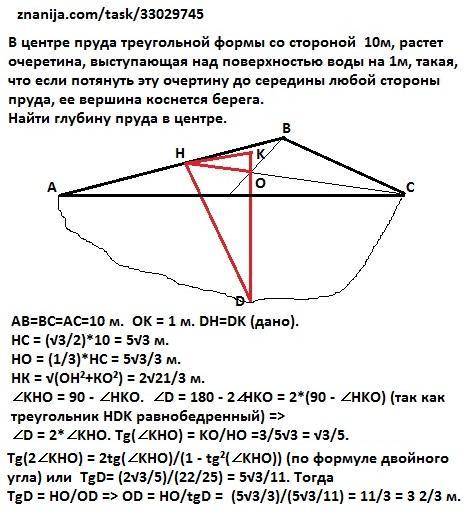 Стереометрія! у центрі ставка трикутної форми зі стороною 10м, росте очеретина, що височіе над пове