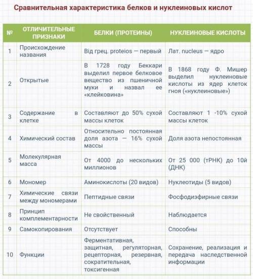 Дать сравнительную характеристику строения белка и нуклеиновых кислот(днк и рнк)