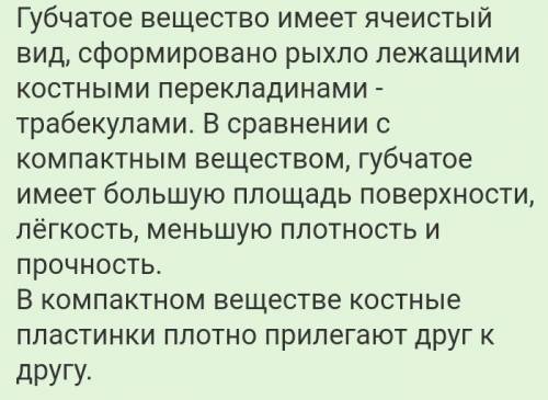 От чего зависит соотношение компактного и губчатого вещества в кости? ​