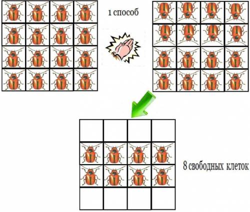 6. в каждой клетке доски 4х4 сидит жук. нeкто хлопнул в ладоши, икаждый жук в панике перебежал в одн