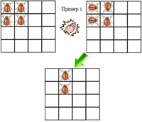 6. в каждой клетке доски 4х4 сидит жук. нeкто хлопнул в ладоши, икаждый жук в панике перебежал в одн
