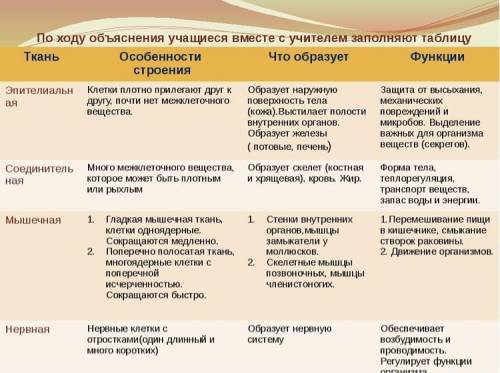 Сделать таблицу про ткани организмов. 1.название 2. особенности 3. функци организма. строения