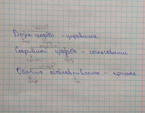 Вариант 2. 1. укажите словосочетание. а) зима укрылась в) осмеливалась на вылазки б) зима осмеливала