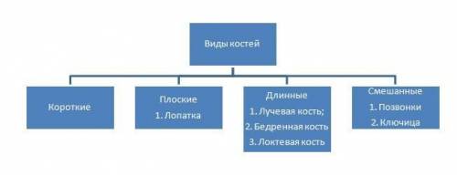 Тест: опорно-двигательная система вариант ii i. выбрать правильный ответ 1. костная ткань является р