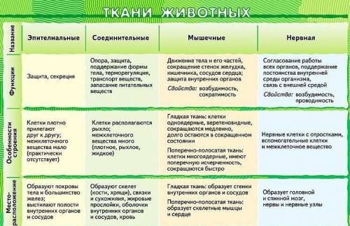 Сделать 2 вопрос и 5 умоляю люди добрые