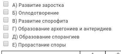 9. опишите стадии развития папоротника