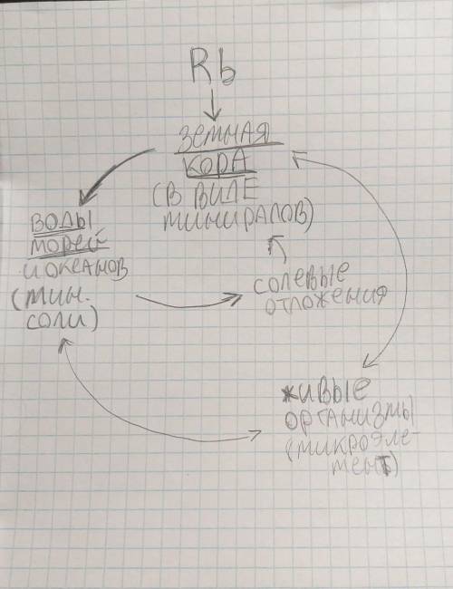 нужен круговорот рубидия в природе, схематично искал много где, но ничего не нашел