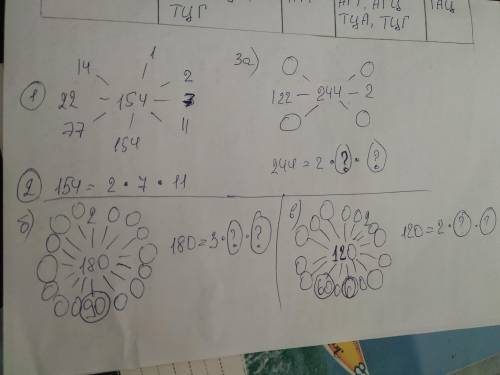30 ! 1)выпишите в кружочке пары делители числа 154 по указанному образцу. 2) выпишите в кружочке так