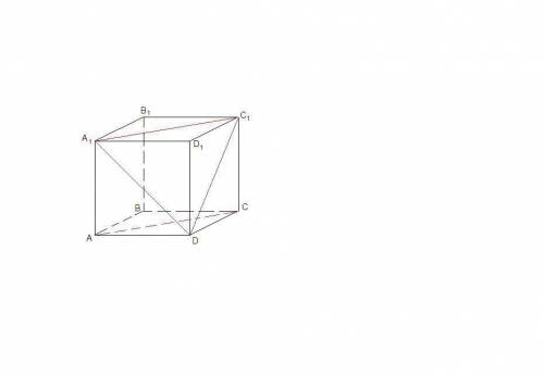 Дано куб abcda1b1c1d1. знайдіть кут між відрізками ас і dc1