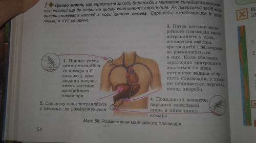 Будь ласка іть ! 50 ів .скласти конспект з біологї 6 клас на тему : одноклатинні твариноподібні орга