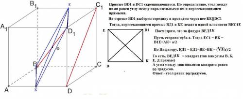 Дан куб abcda1b1c1d1. вычисли величину угла между прямыми dc1 и bd1.