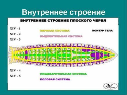 Дай ответы на что можете но хотя бы 3 ответа кроме 1,2,3 ​