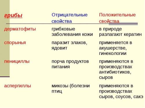 Схема значение грибов для человека положительные и отрицательные черты написать про паразитов дрожжи