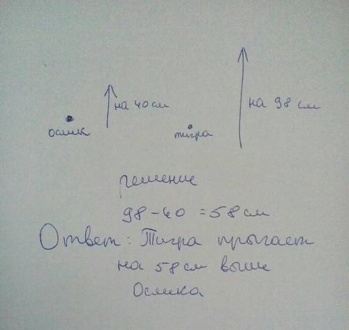 Сделай к схематический чертеж и реши её.ослик прыгает в высоту на 40см, а тигра на 98см. на сколько