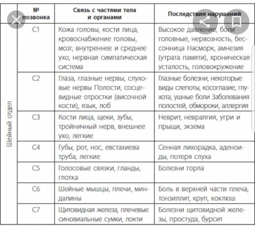 Таблица строение позвоночника 8 класс