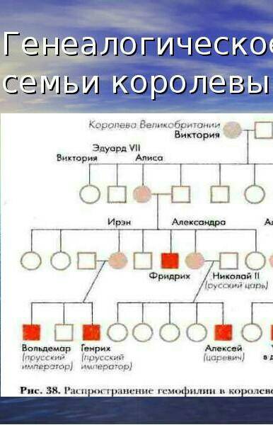 Составить генеалогическое древо по генетике