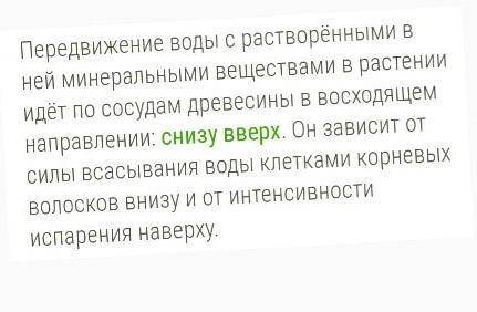 Как в почве передвигаются органические и минеральные вещества 50 ​