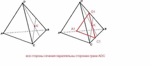 Постройте сечение тетраэдра abcd плоскостью, проходящей через точку пересечения медиан грани bcd пар