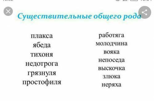 Выпишите из толкового словаря несколько существительных общего рода ​