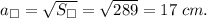 a_{\square}=\sqrt{S_{\square}}= \sqrt{289}=17 \; cm.