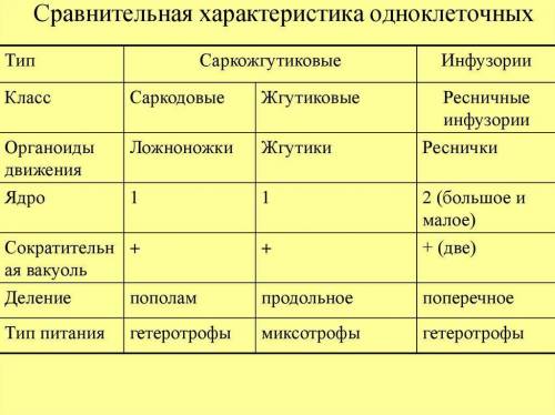 Таблица строение клетки, передвижение, питание и представители класса сарковидных, жгутиковый и инфу