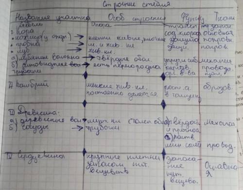 100 кто-нибудь сделайте мне таблицу по биологии вас эту долбаную биологию​ 100