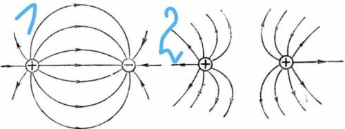 Изобразите графически электрического поля двух точечных зарядов посредством силовых линий.+ + ; - -;