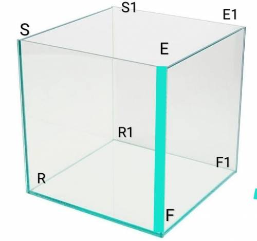 Дан куб e f r s e, f, r, s. ef принадлежит плоскости?