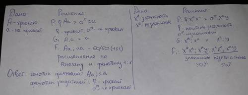 1) у семьи мюмзиков родились два хрюкочущих потомка и два не хрюкочущих хрюкать- доминантный признак