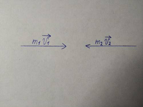 3. два тела движутся навстречу друг другу. масса первого тела m1, масса второго тела m2. скорости со
