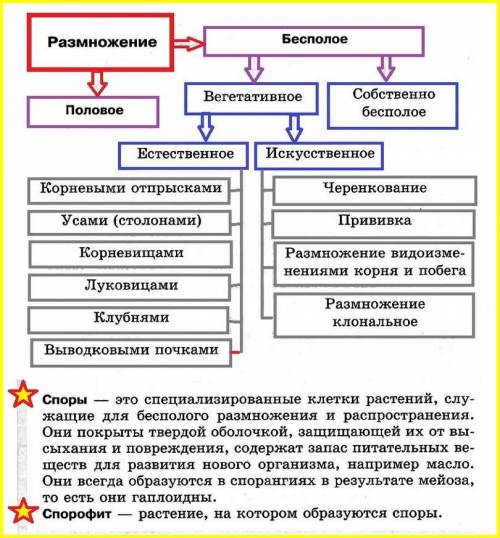 Что из перечисленного является примером вегетативного размножения? укажите три верных ответа. 1) обр