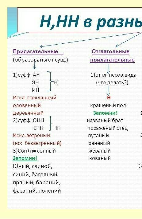 ответить на вопросы к зачёту по языку кратко